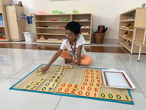 Montessori Scholastic