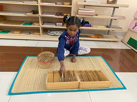 Montessori Scholastic