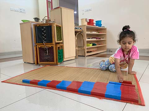 Montessori Scholastic