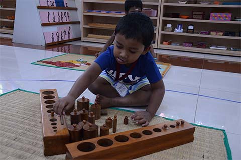 Montessori Scholastic