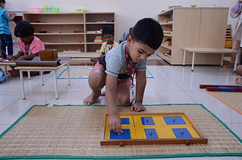Montessori Scholastic
