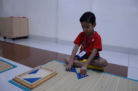 Montessori Scholastic
