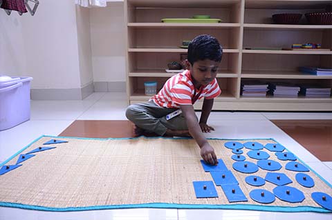 Montessori Scholastic