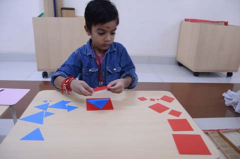 Montessori Scholastic