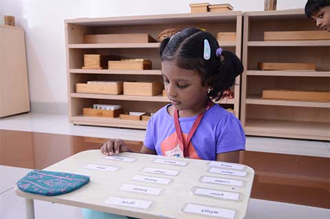 Montessori Scholastic