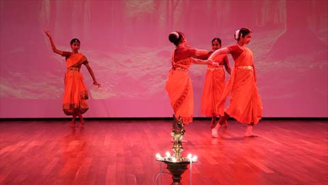 Diwali Celebration 2025