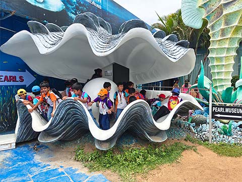 Grade 2 - Visit to the India Seashell Museum
