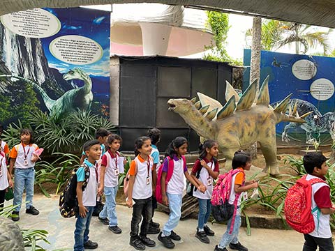 Grade 2 - Visit to the India Seashell Museum