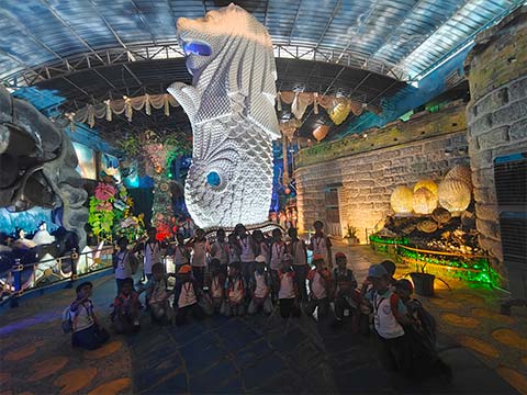 Grade 2 - Visit to the India Seashell Museum