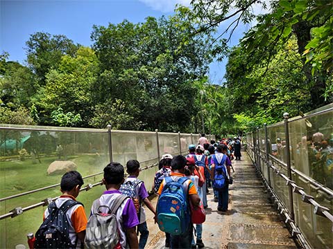 Grade 3 fieldtrip 2025