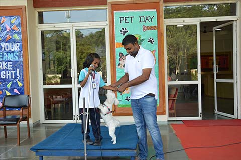 Pet Day 2025