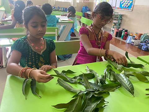 Pongal Celebrations 2026